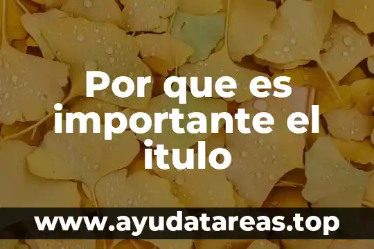Por qué es importante colocar los apellidos en un formulario 3 Por que es importante el itulo
