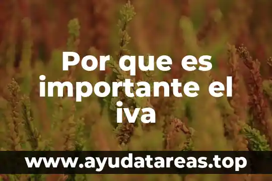Que es la enajenacion segun iva 3 Por que es importante el iva