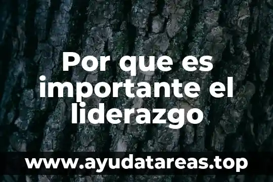 Mensaje para decirle a alguien que es importante 8 Por que es importante el liderazgo