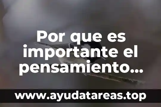 Que es un efecto local y sistemico 8 Por que es importante el pensamiento sistémico