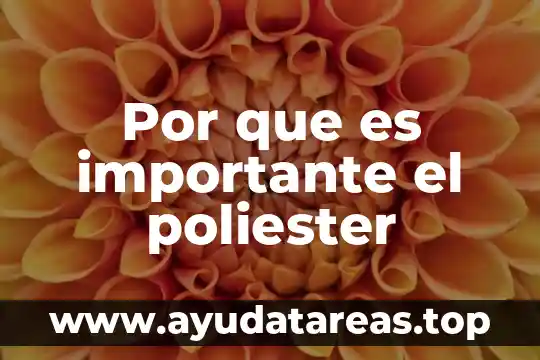 Por que es importante las tribus urbanas 4 Por que es importante el poliester