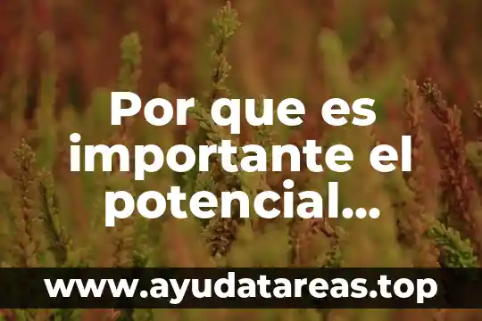 Que es el pib potencial y como se calcula 7 Por que es importante el potencial electrico