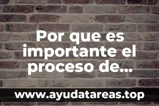 Por que es importante el proceso de facturacion