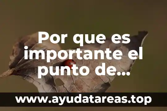 Por que es importante el punto de equilibrio