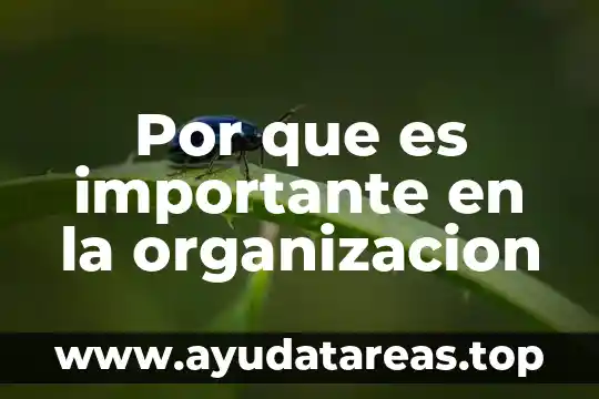 Por que es tan importante la super luna 4 Por que es importante en la organizacion