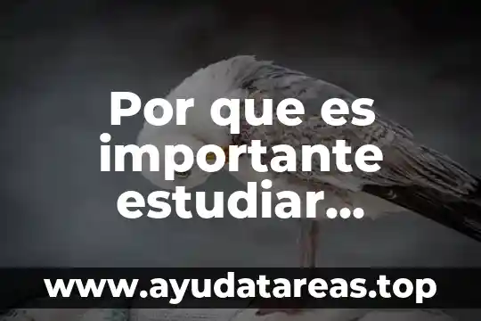 Por que es importante estudiar psicopedagogia