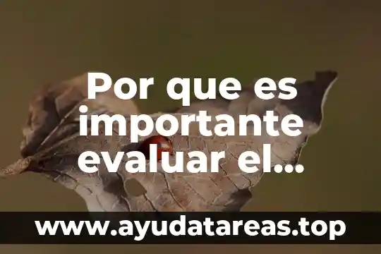 Que es calpulli lo mas importante 4 Por que es importante evaluar el curriculum