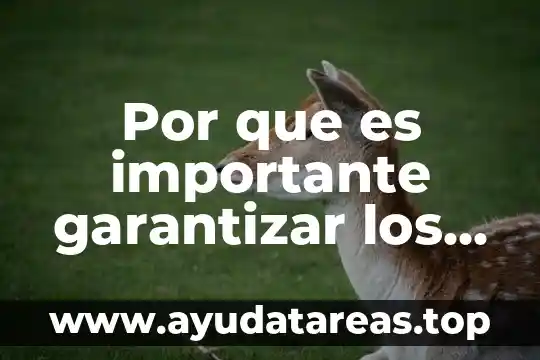 Que es nombre en la comision de los derechos humanos 8 Por que es importante garantizar los derechos humanos