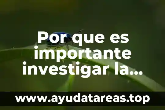Que es modelos analitico contaminacion del agua 7 Por que es importante investigar la contaminacion visual