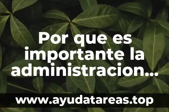 Que es la quimica en la vida cotidiana 7 Por que es importante la administracion en nuestra vida cotidiana