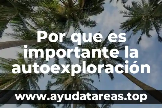 Que significa ansi-sparc por que es importante 6 Por que es importante la autoexploración