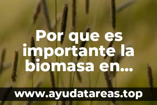 Que es la energia biomasa y comose transforma 4 Por que es importante la biomasa en reino unido