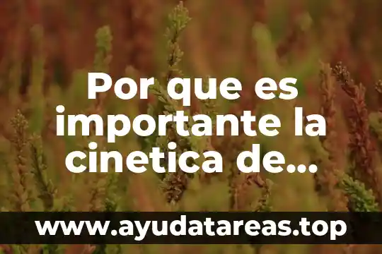 Por que es importante la cinetica de crecimiento