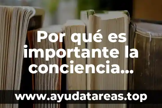Que es conciencia etica y moral 3 Por qué es importante la conciencia moral para ser autónomo