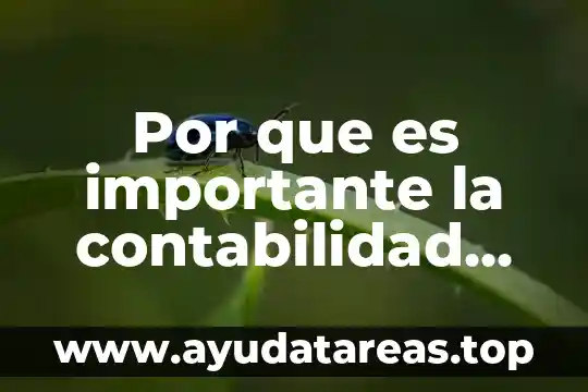 Por que es importante la contabilidad en el ambito empresarial