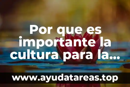 Por que es tan importante te aya agua en marte 3 Por que es importante la cultura para la danza