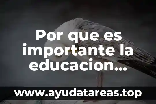 Por que es importante la educacion ambiental comentario
