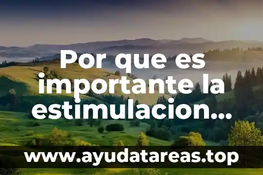 Nebulizador de compresor omron para niños y bebés que es 7 Por que es importante la estimulacion en bebes