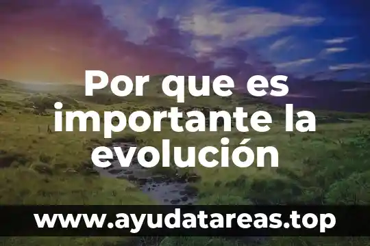 Por que es importante la evolución