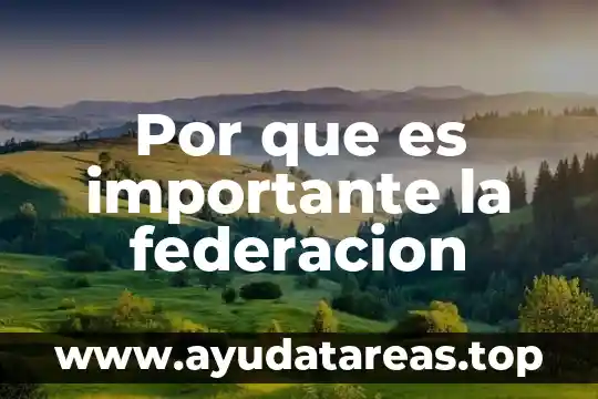 Por que es importante la federacion