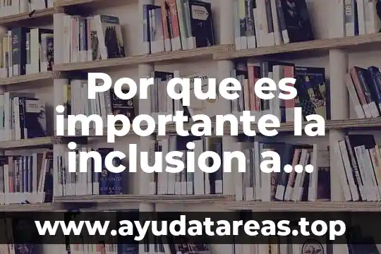 Discapacidad que es tipos y significados 7 Por que es importante la inclusion a personas con discapacidad