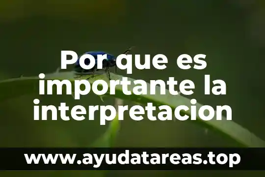 Por que es importante la interpretacion