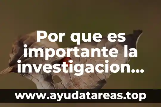 Por que es importante la investigacion turistica