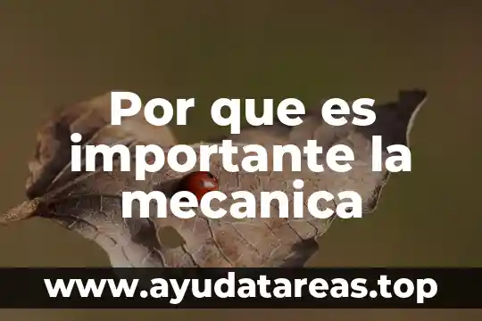Por que es tan importante la super luna 7 Por que es importante la mecanica