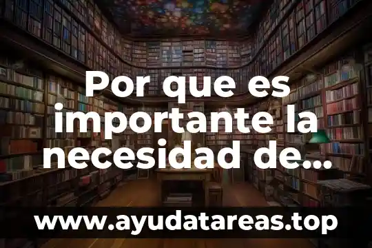 Por que es importante la necesidad de la informacion
