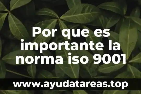Por que es importante el número de oro 7 Por que es importante la norma iso 9001