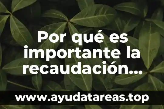 Por qué es importante la recaudación fiscal