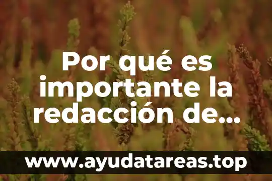 Qué es un diagnóstico y sus tipos 8 Por qué es importante la redacción de diagnóstico