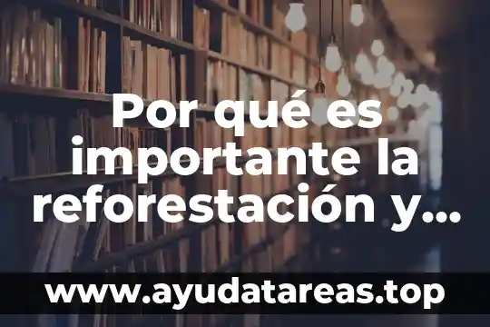 Por que es importante las tribus urbanas 7 Por qué es importante la reforestación y forestación