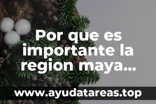 Por que es importante la region maya hoy
