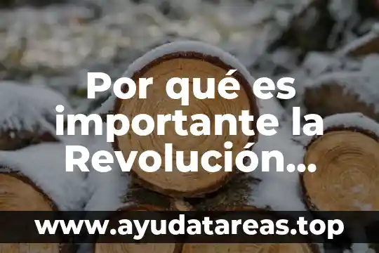 Por qué es importante la Revolución Industrial para la historia