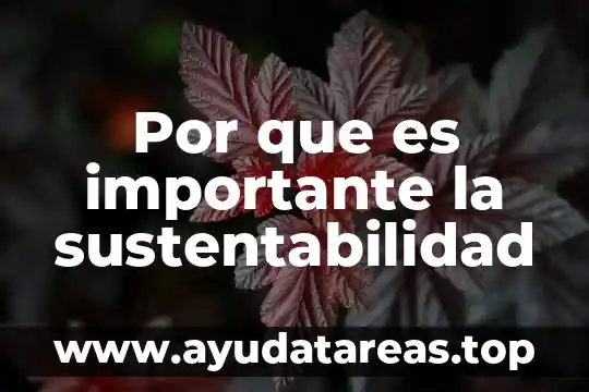 Por que es importante la sustentabilidad