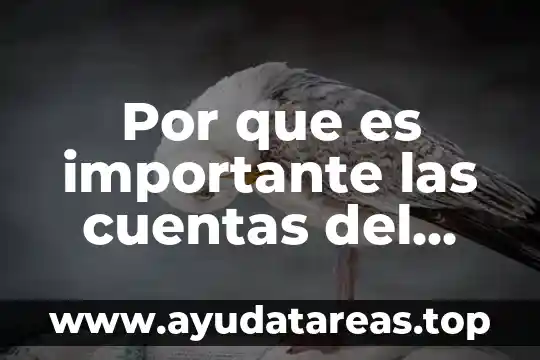 Que es un cliente activo pasivo 3 Por que es importante las cuentas del activo o pasivo