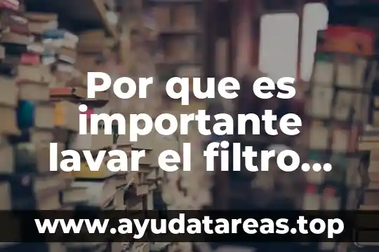 Que es un cohete impulsado por agua y aire 4 Por que es importante lavar el filtro del aire