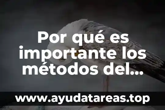 Por que es importante el cuidado del agua 8 Por qué es importante los métodos del trauma