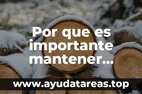 Que es mantener erguida la planta 5 Por que es importante mantener nuestras casas limpia
