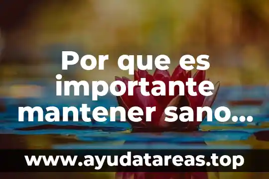 Que es mantener erguida la planta 3 Por que es importante mantener sano nuestro huerto