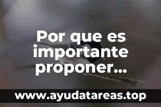 Por que es importante proponer estrategias ambientales