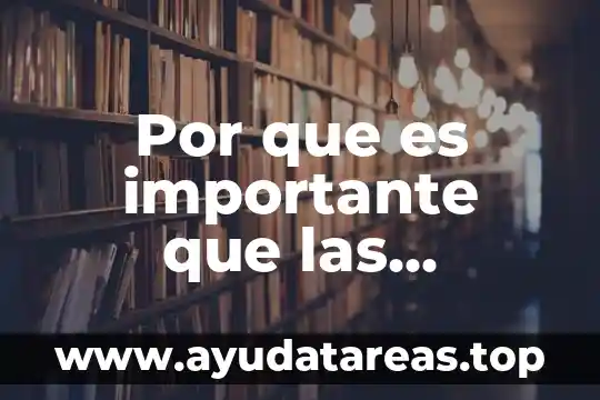 Por que es importante que las empresas realizen una auditoria