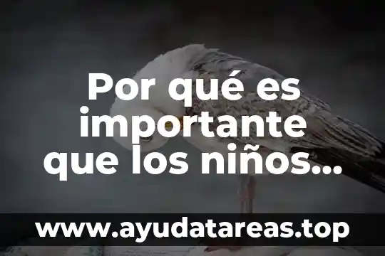 Por qué es importante que los niños entiendan la inclusión