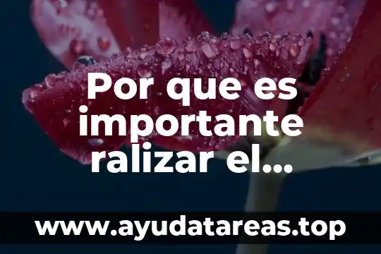 Que es un principio de intervención social 3 Por que es importante ralizar el servicio social