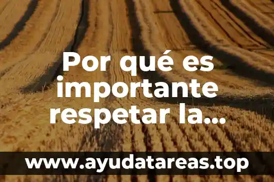 Por qué es importante respetar la diversidad de expresiones culturales