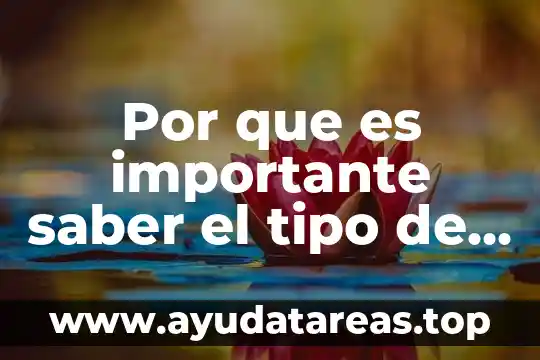 Que es y como diseñar situaciones de aprendizaje 6 Por que es importante saber el tipo de aprendizaje