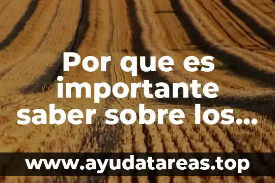 Por que es importante saber sobre los buses de computadora