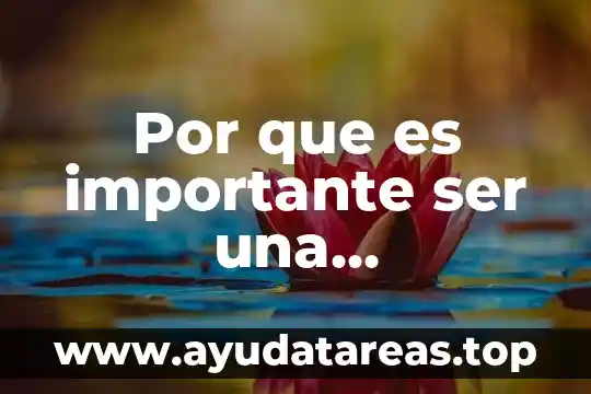 Por que es importante ser una organizacion legal