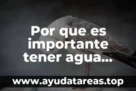Por que es importante el agua en los seres vivos 5 Por que es importante tener agua potable